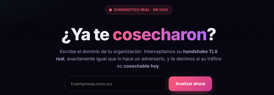 Página web oscura de ciberseguridad con el texto ¿Ya te cosecharon?